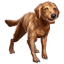 Bravil Retriever icon